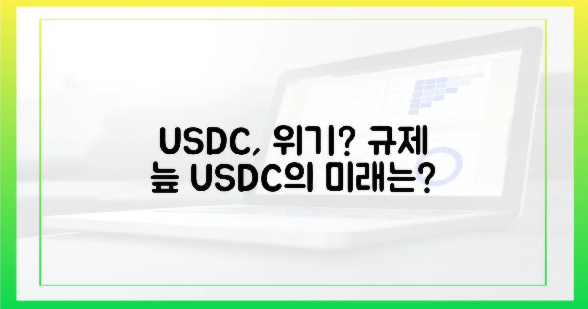 규제 환경: USDC의 과제