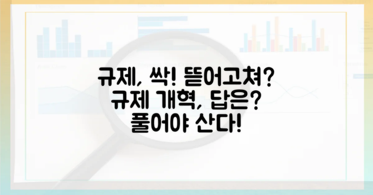규제, 어떻게 풀어야 할까?