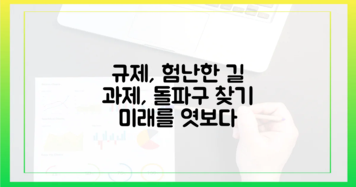 규제 환경과 과제