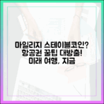 항공사 마일리지 프로그램과 스테이블코인의 결합 가능성