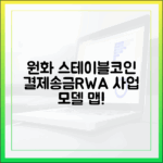 원화 스테이블코인의 사업모델 지도: 결제·송금·RWA 결제까지 한눈에