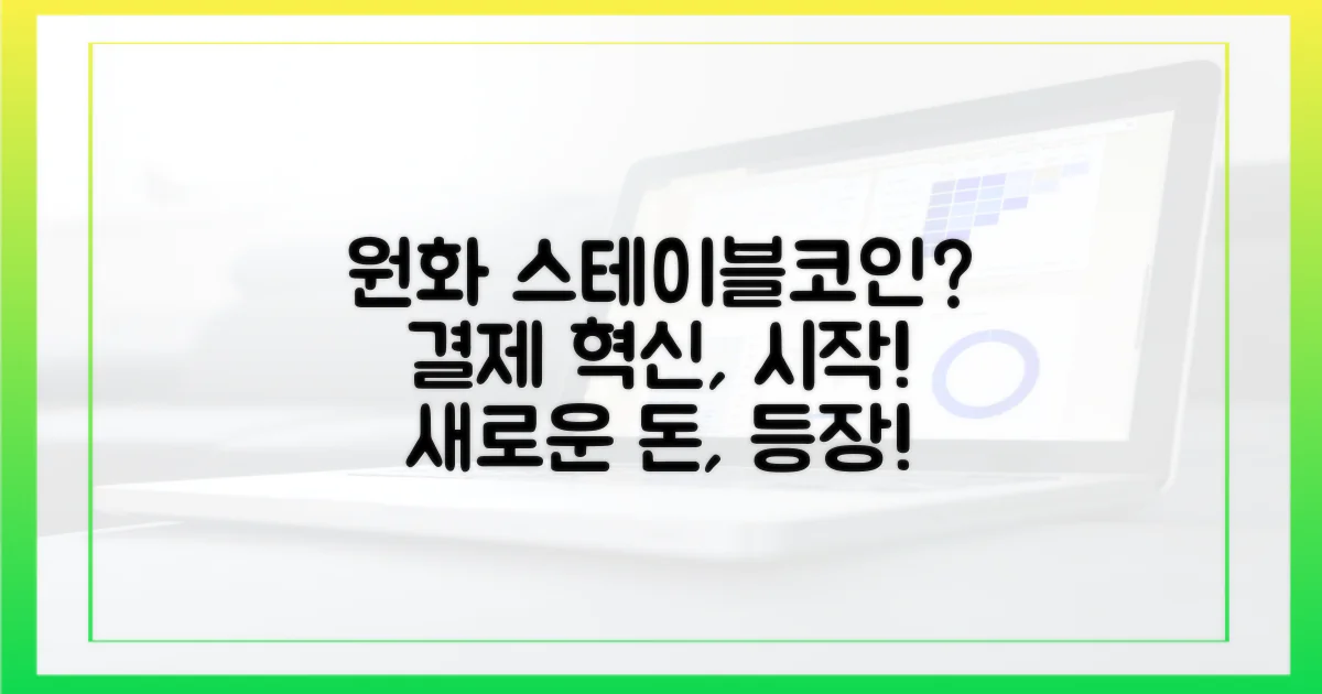 원화 스테이블코인, 새로운 결제 수단