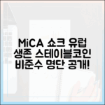 MiCA 본격화와 ‘비준수 명단’ 업데이트: 유럽에서 살아남는 스테이블코인의 조건