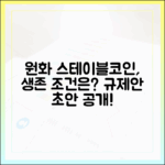 한국 정부 규제안 초안, 원화 스테이블코인 발행사의 생존 조건