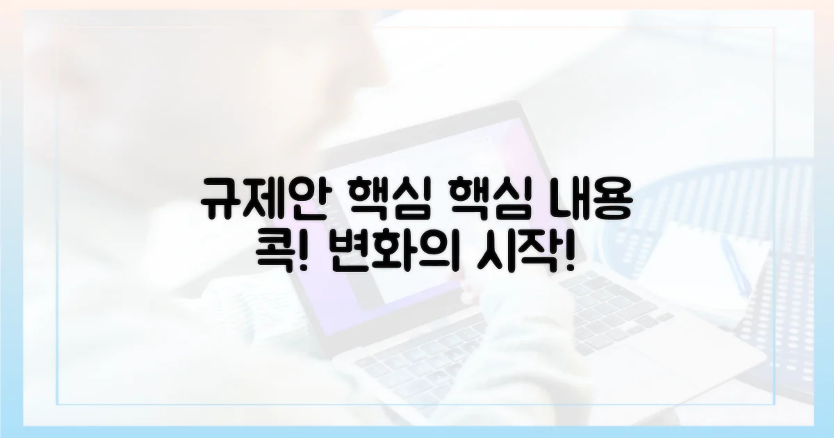 규제안 핵심 내용