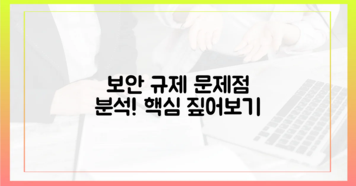 보안 및 규제 문제점 분석