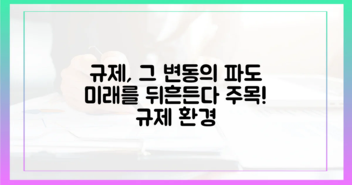 규제 환경의 변수