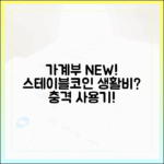 가계부에 등장한 새로운 항목: 스테이블코인 생활비 사용기
