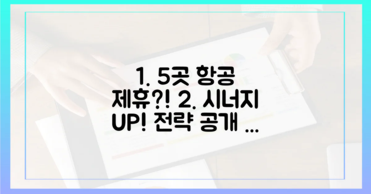 5개 항공사 제휴 시나리오