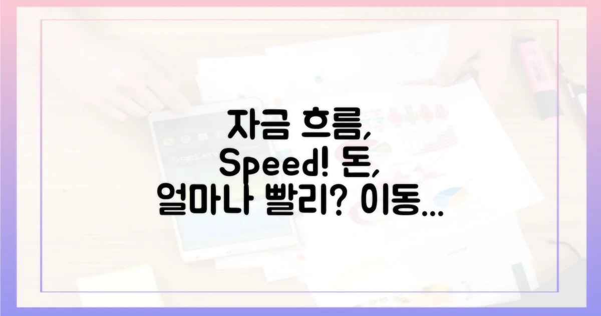 자금 이동의 속도