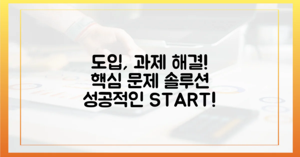 도입 과정의 과제와 해결책