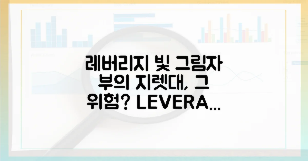 레버리지, 빛과 그림자