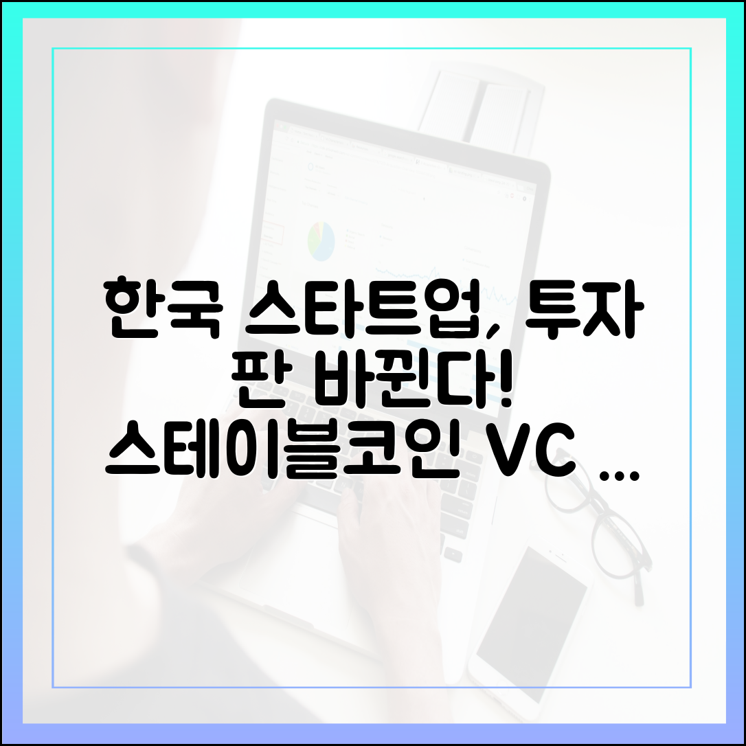 한국 스타트업 투자 생태계, 스테이블코인 VC 펀딩의 등장