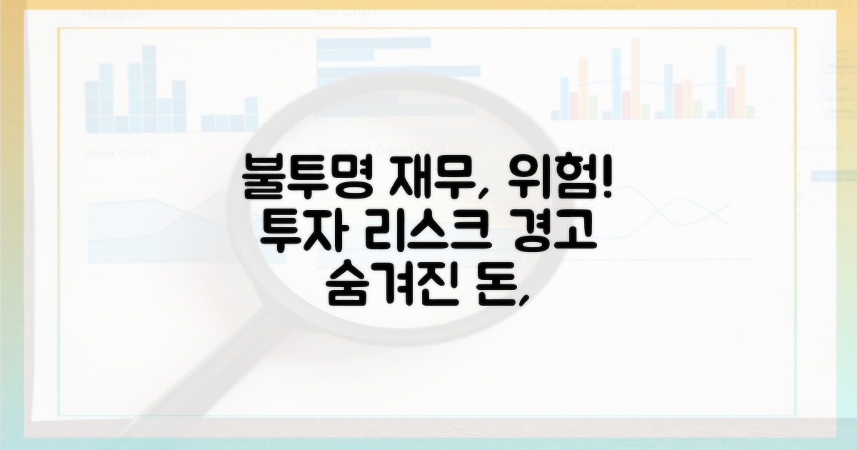 불투명한 재무 상태, 투자 리스크