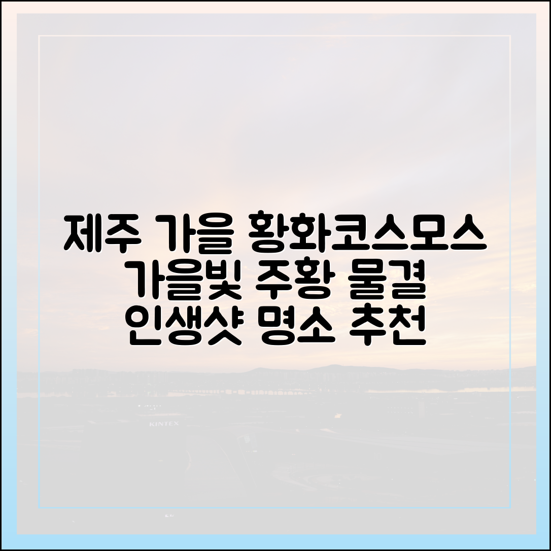 놀라운 제주 가을! 주황색 황화코스모스가 따라온다