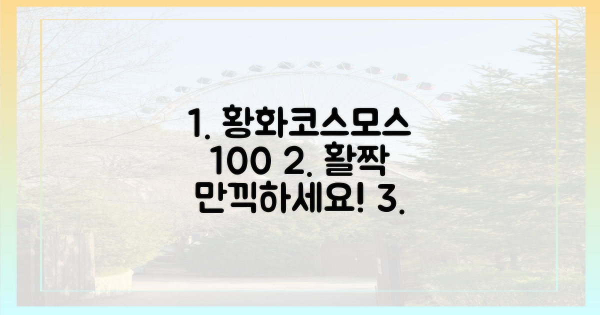 100% 만끽하는 황화코스모스