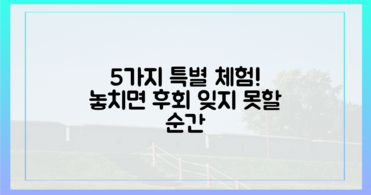 5가지 특별 체험