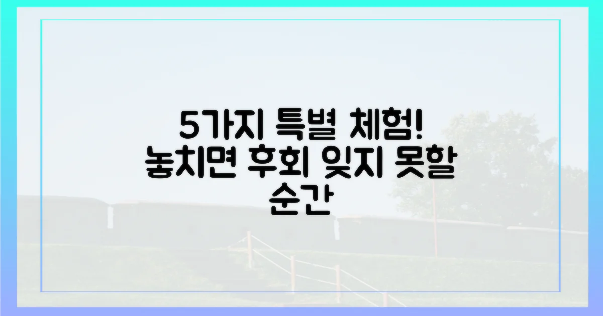 5가지 특별 체험