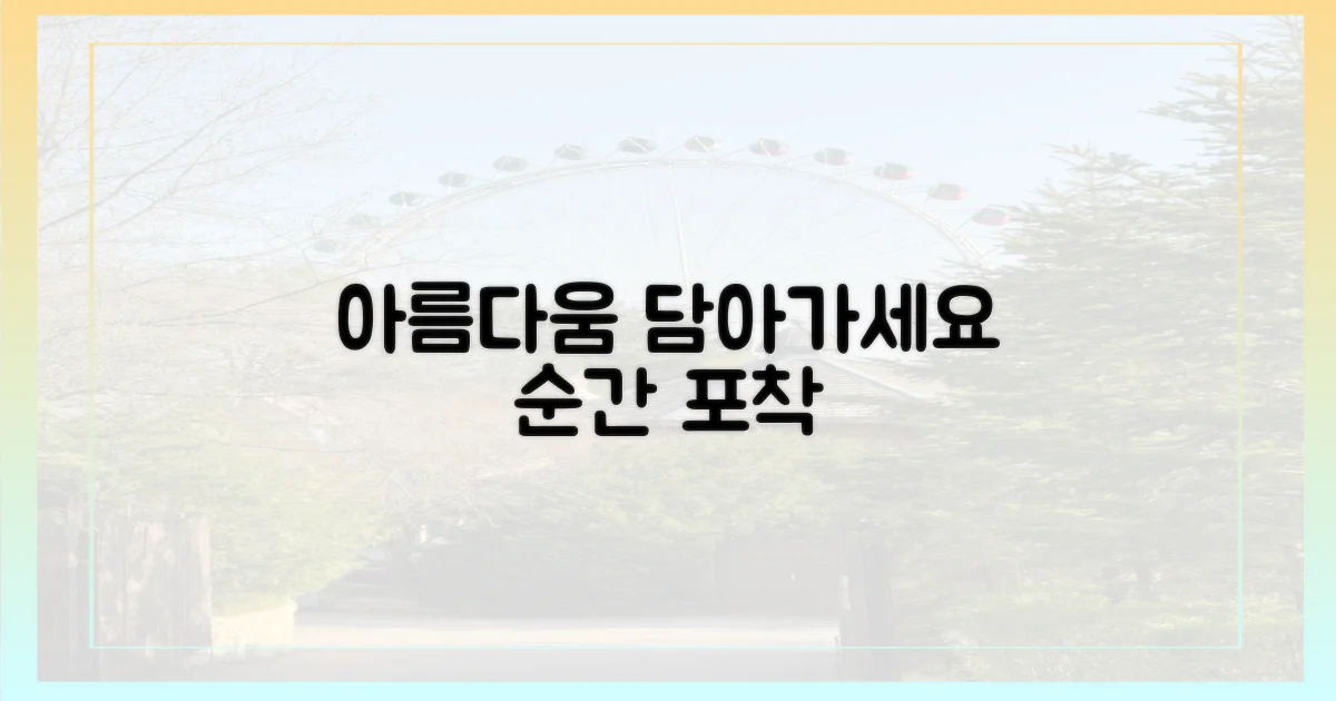 아름다움을 담아가요