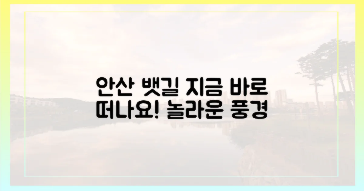 안산 뱃길, 지금 바로 떠나세요!