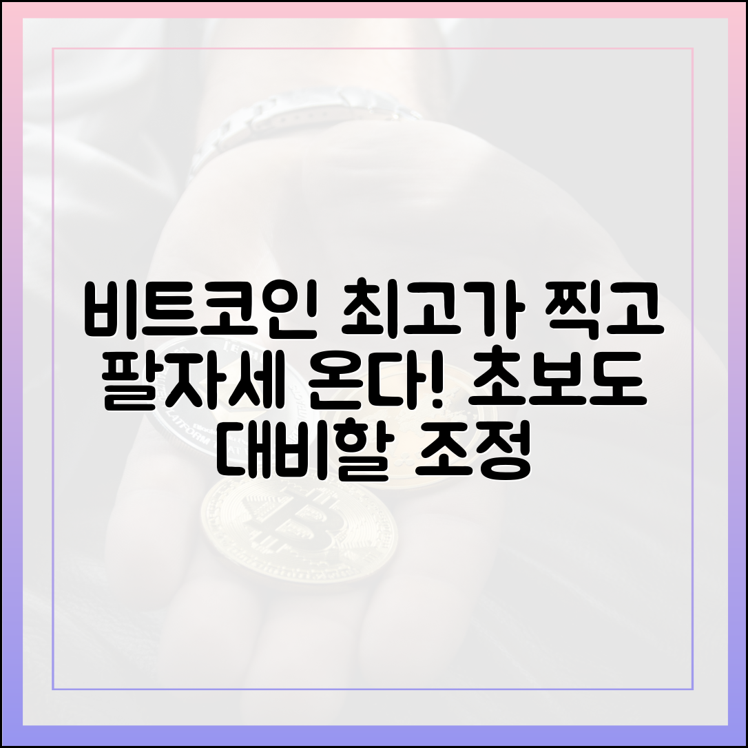 비트코인 최고가 후 '팔자세', 초보자도 대비해야 할 단기 조정