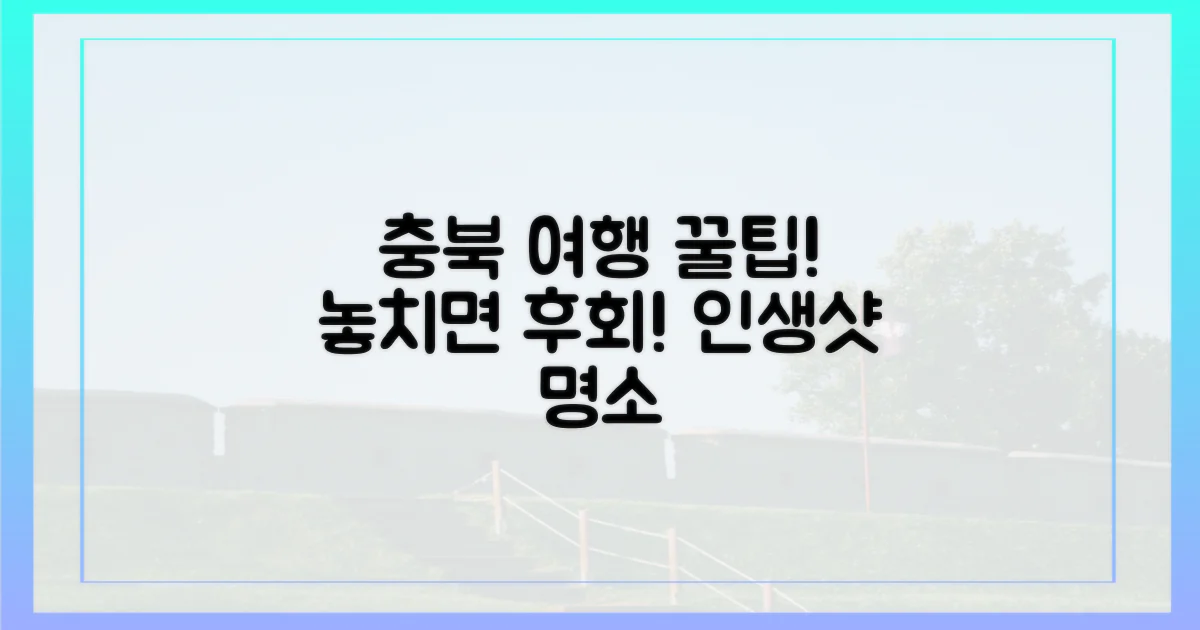 충북 여행, 이렇게 즐기세요!