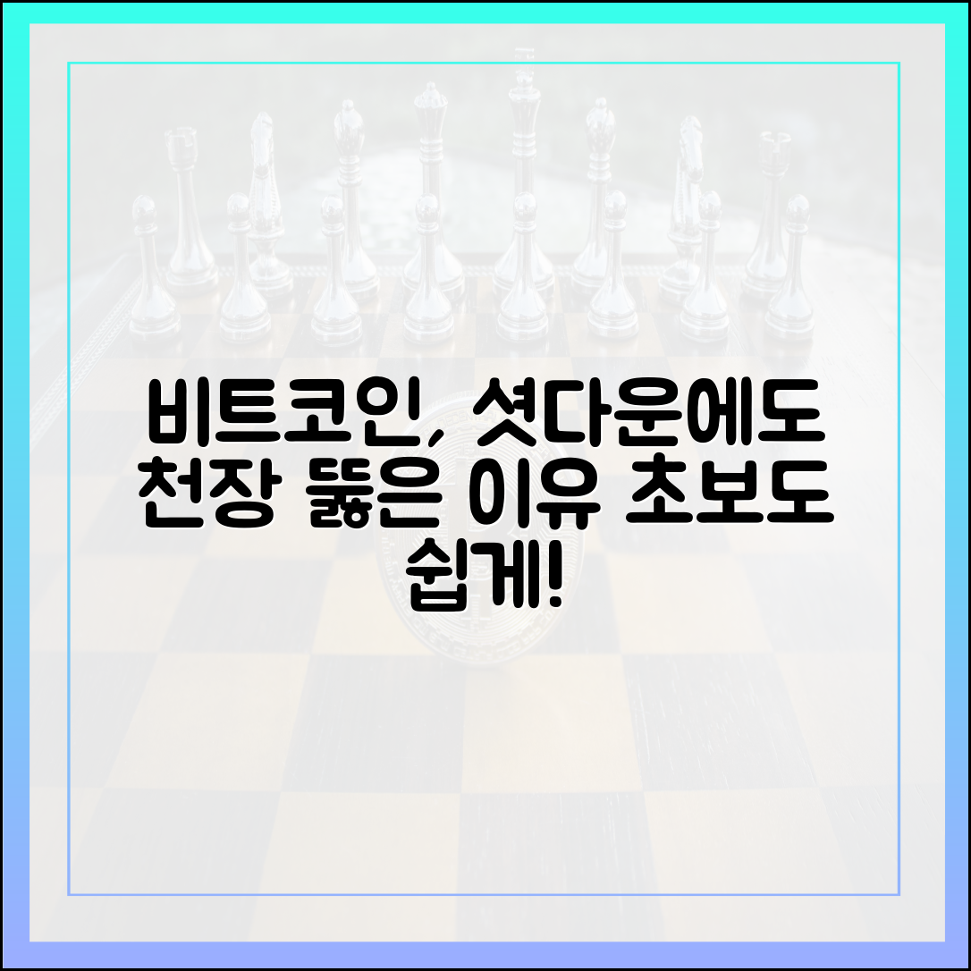 셧다운에도 천장 뚫은 비트코인, 초보도 알 수 있다!
