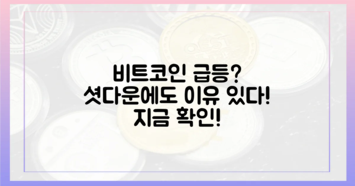 셧다운에도 비트코인 급등 이유는?