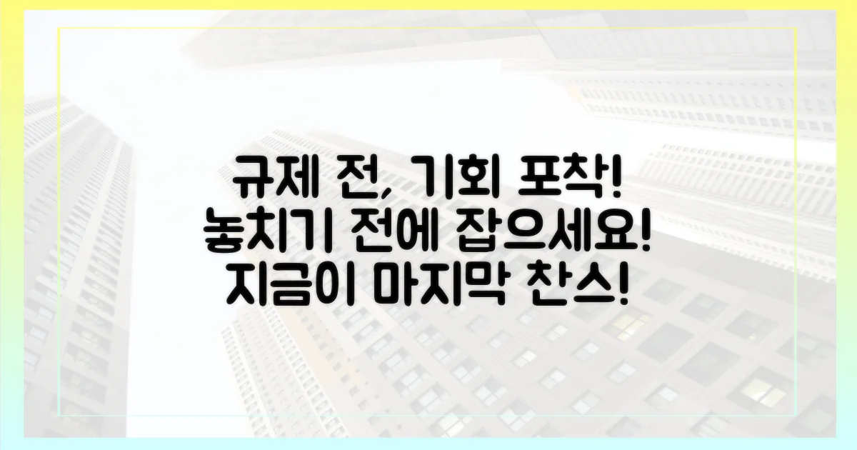 규제 전, 기회를 잡으세요!