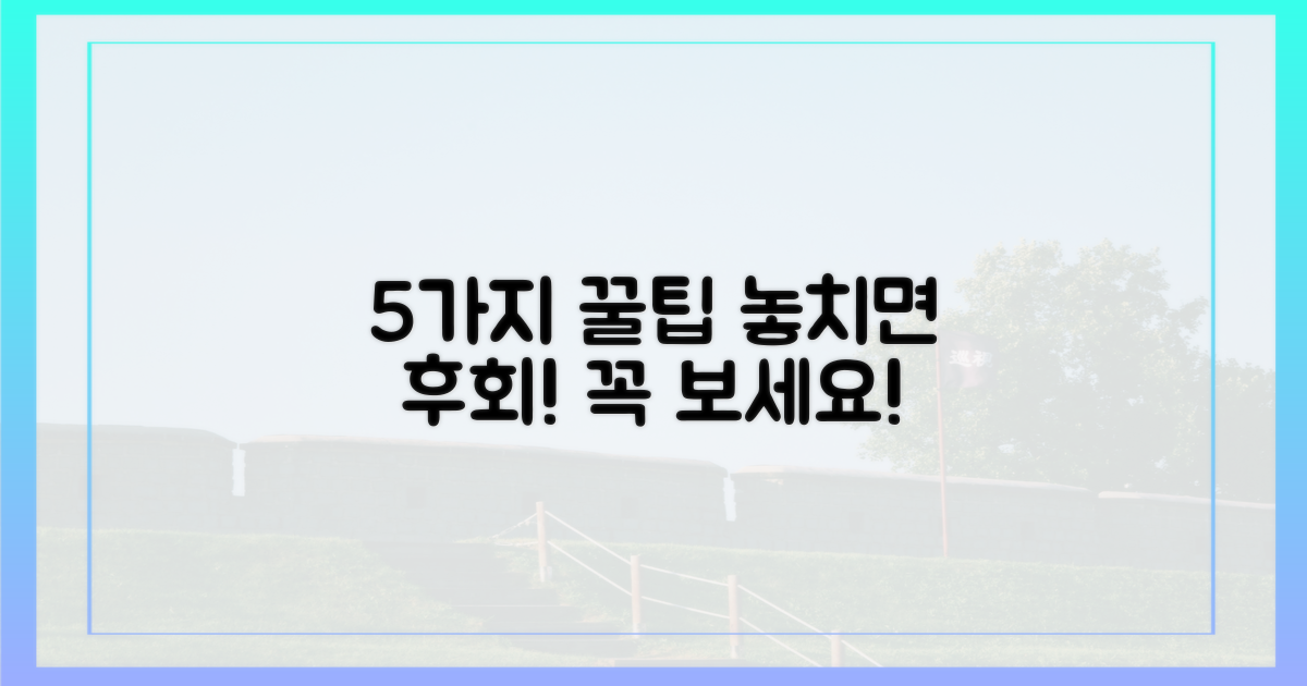 5가지 관람 팁