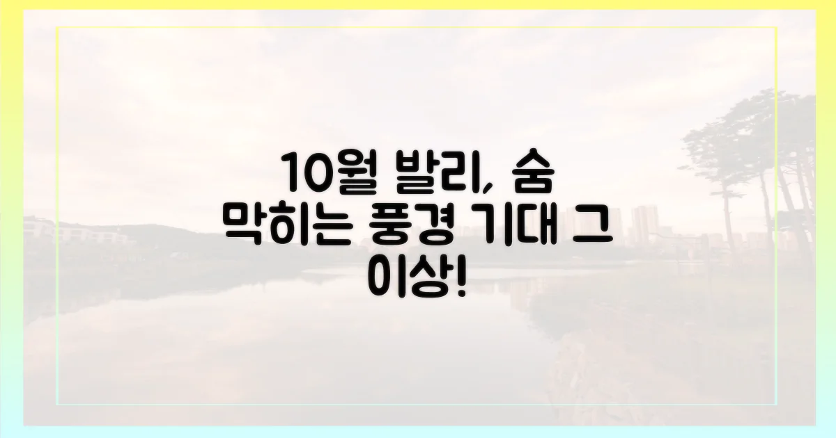 10월 발리, 기대 그 이상