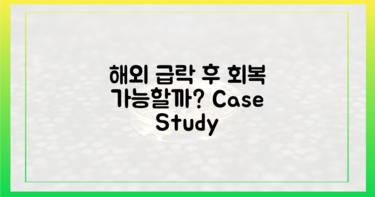 해외 사례: 급락 후 회복 가능?