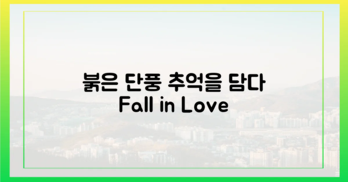 붉게 물든 단풍, 추억을 담아가세요