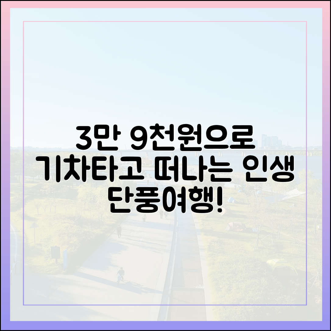 놀라운 단풍여행! 3만9천원으로 기차 타고 떠나요