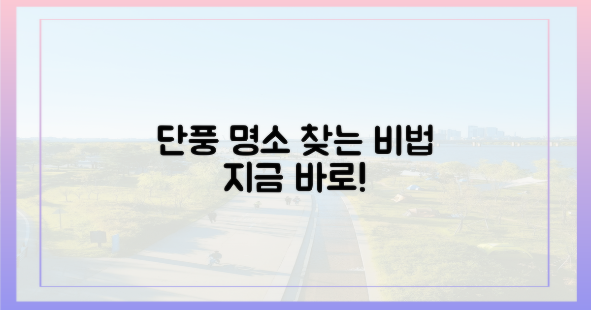 단풍 명소, 어떻게 찾지?