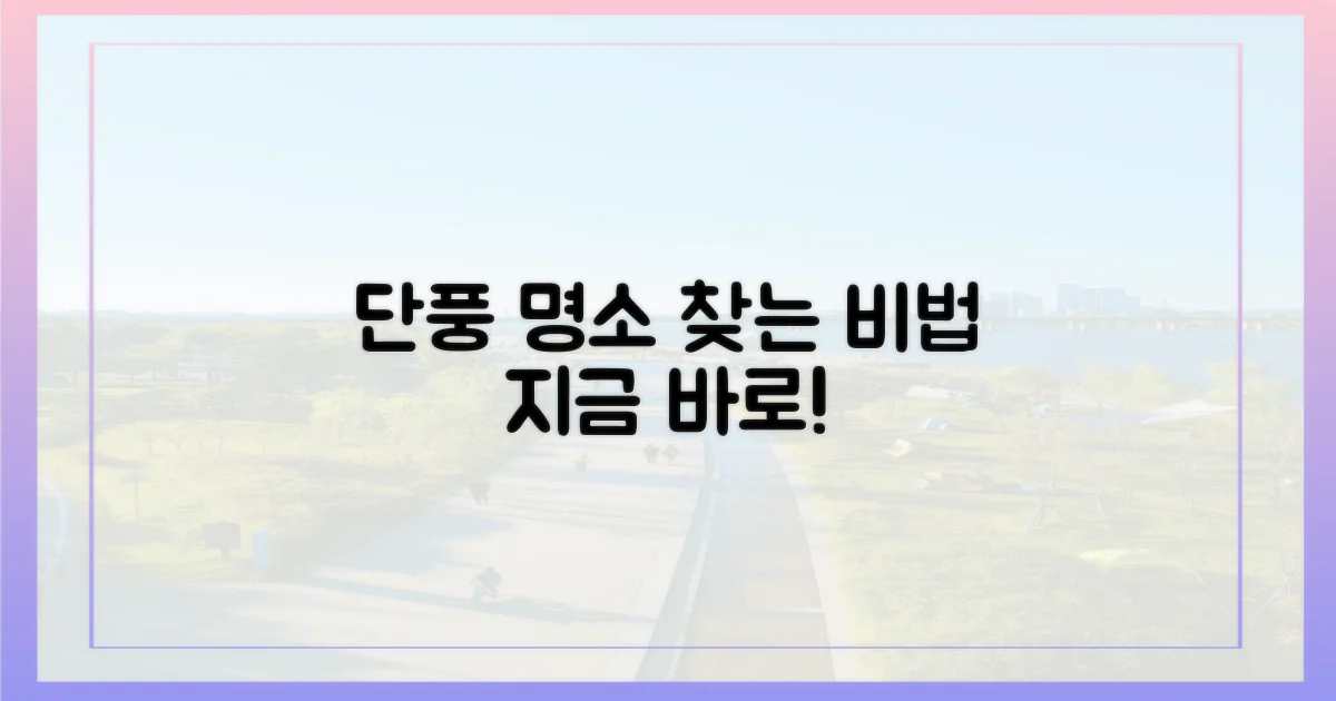 단풍 명소, 어떻게 찾지?