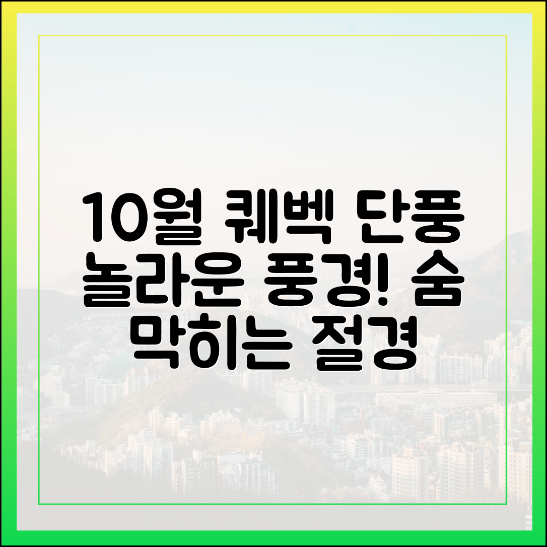 10월 퀘벡 단풍, 믿을 수 없는 풍경!