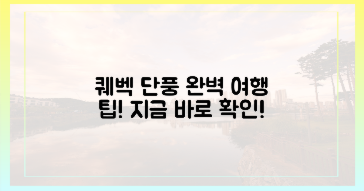당신의 완벽한 퀘벡 단풍 여행을 완성하세요!
