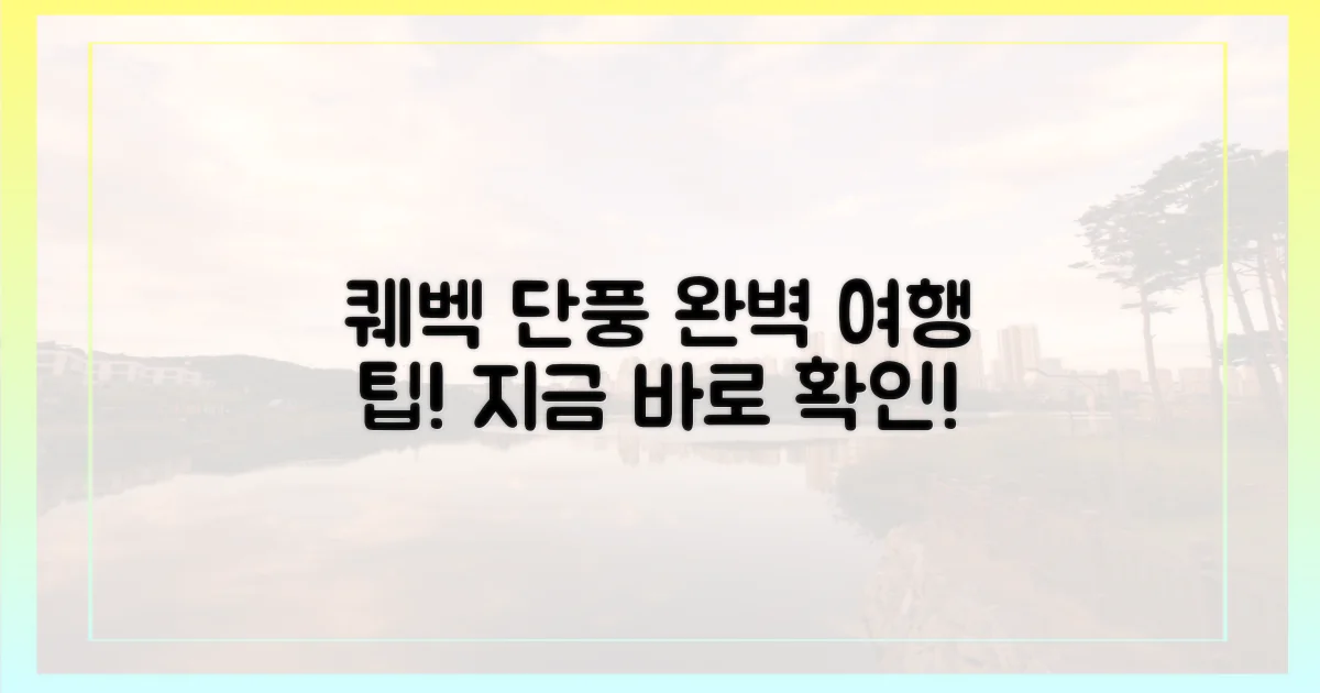 당신의 완벽한 퀘벡 단풍 여행을 완성하세요!