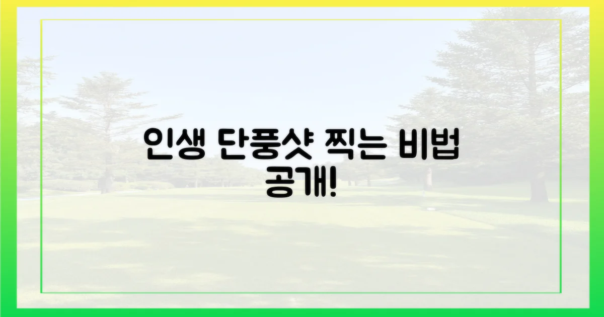 잊지 못할 단풍 사진, 이렇게 찍으세요!