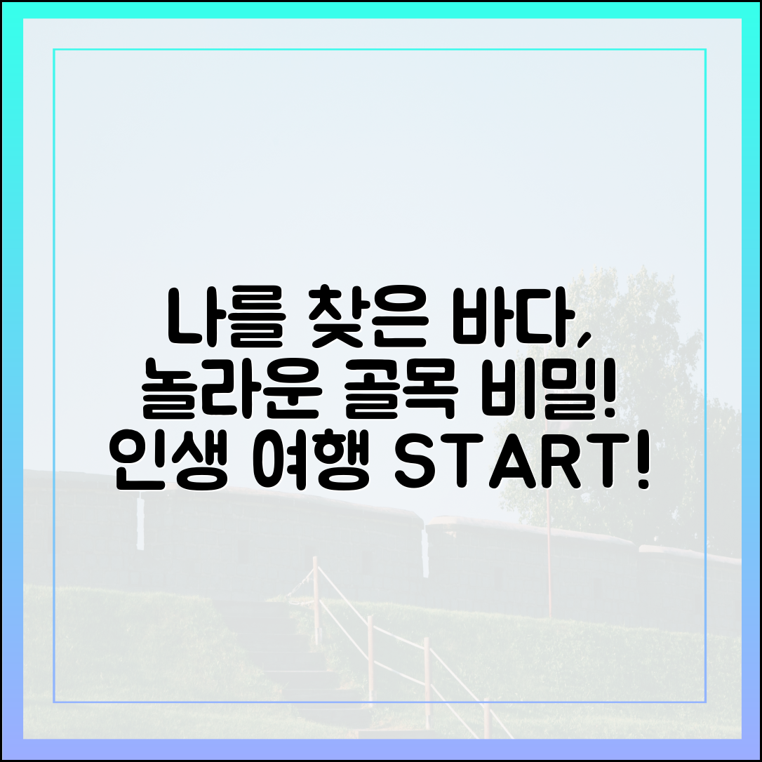 믿기지 않는 골목 여행! 나를 찾아 떠난 바닷가의 놀라운 비밀