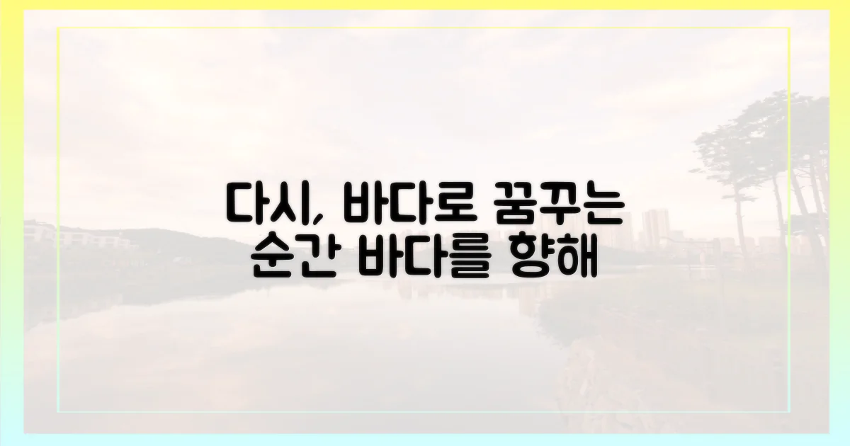 다시, 바다를 꿈꾸며