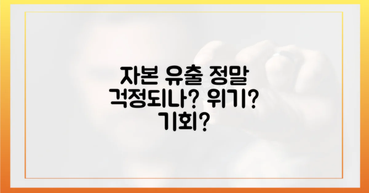자본 유출, 정말 걱정될까?