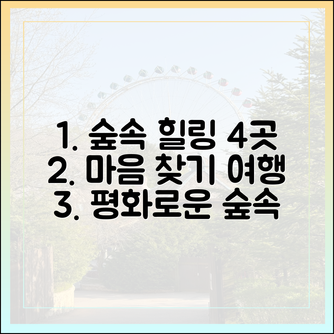 숲속 힐링 여행 완벽 가이드: 마음 평화 찾는 4곳