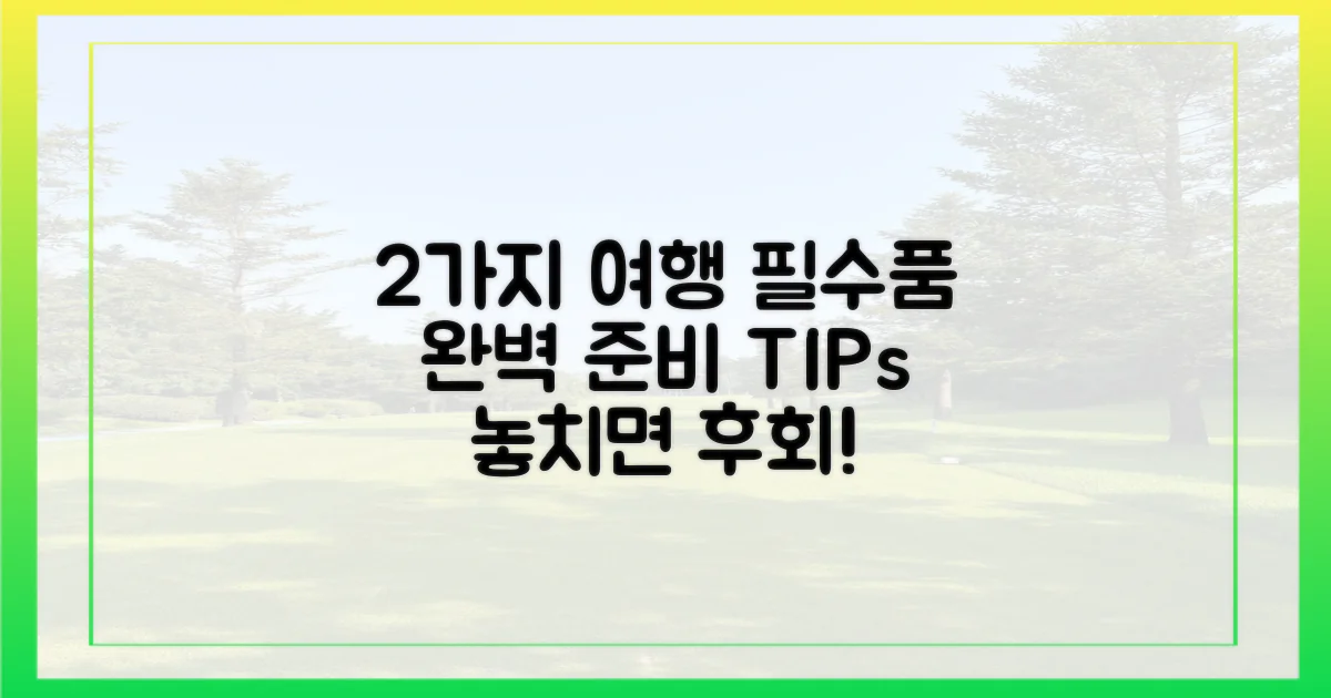 2가지 여행 준비물