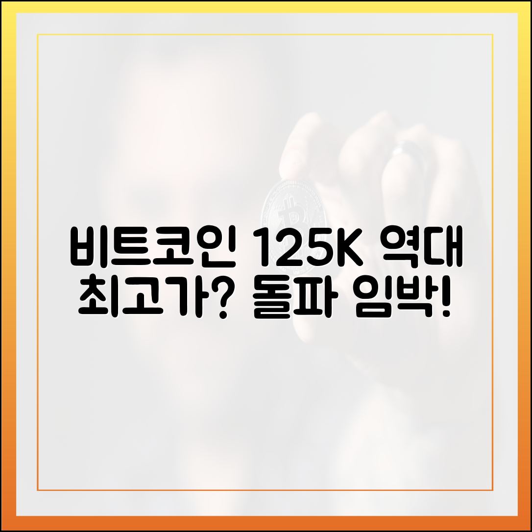 비트코인 12만 5천 달러 돌파, 역대 최고가 경신할까요?