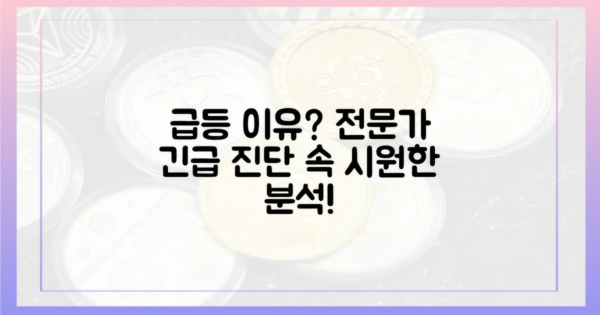 급등 배경, 전문가 진단은?