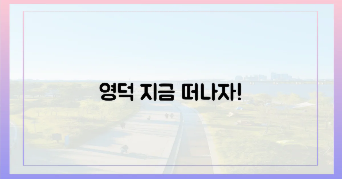 지금 영덕으로 떠나요!