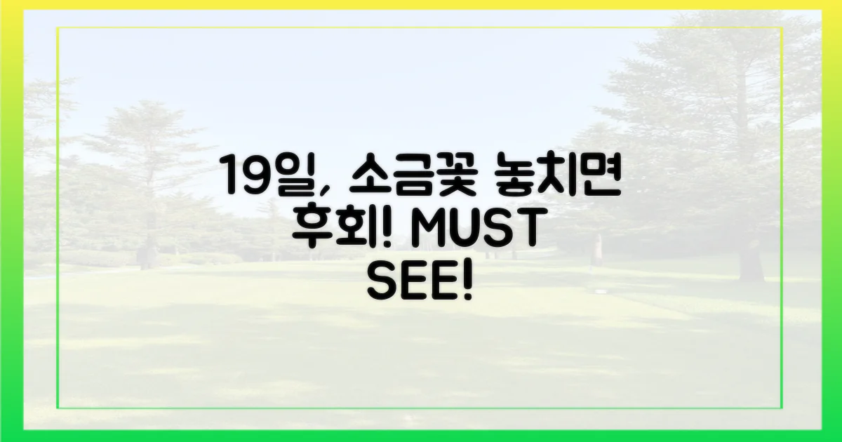 19일, '소금꽃'을 만날 기회?