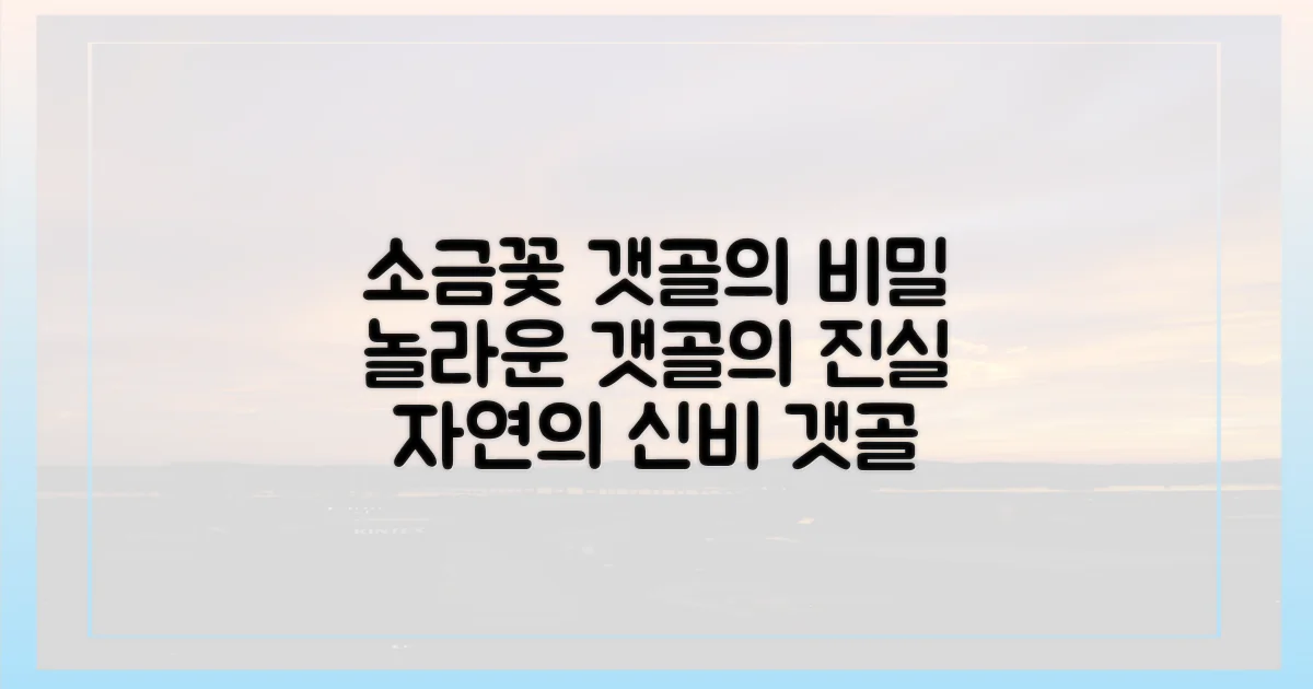 소금꽃' 갯골, 무엇이 특별한가?